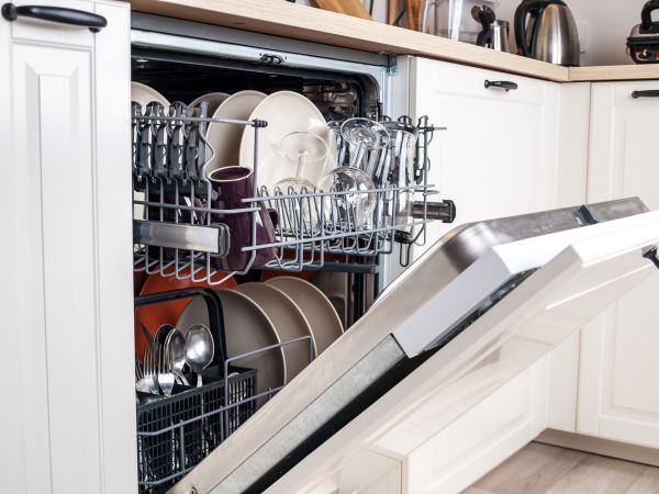 Dishwasher Door Repair - Dishwasher Door Repair Albany, Georgia