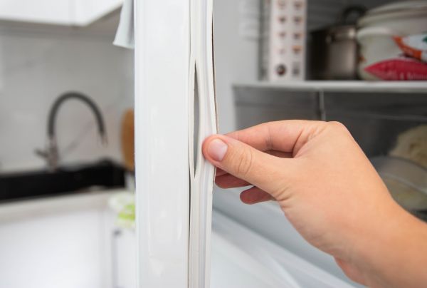 Freezer Gasket Replacement
