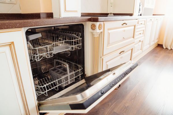 Dishwasher Door Latch Repair