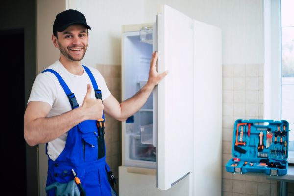 Fridge Door Replacement
